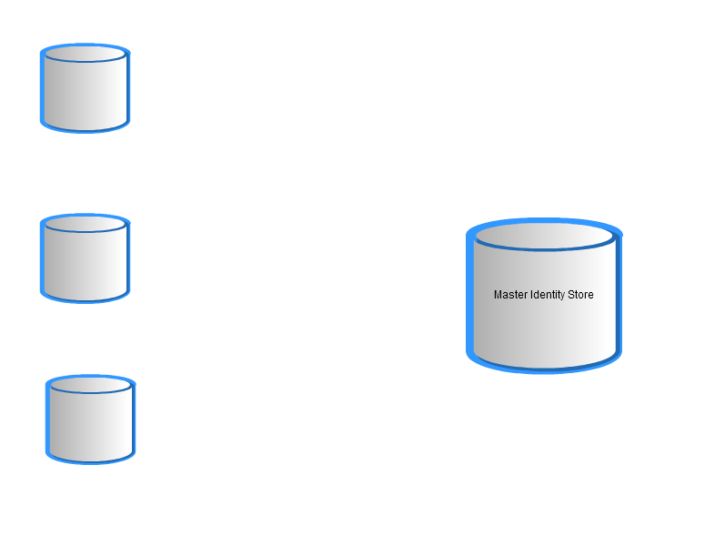 Master Identity Data Store